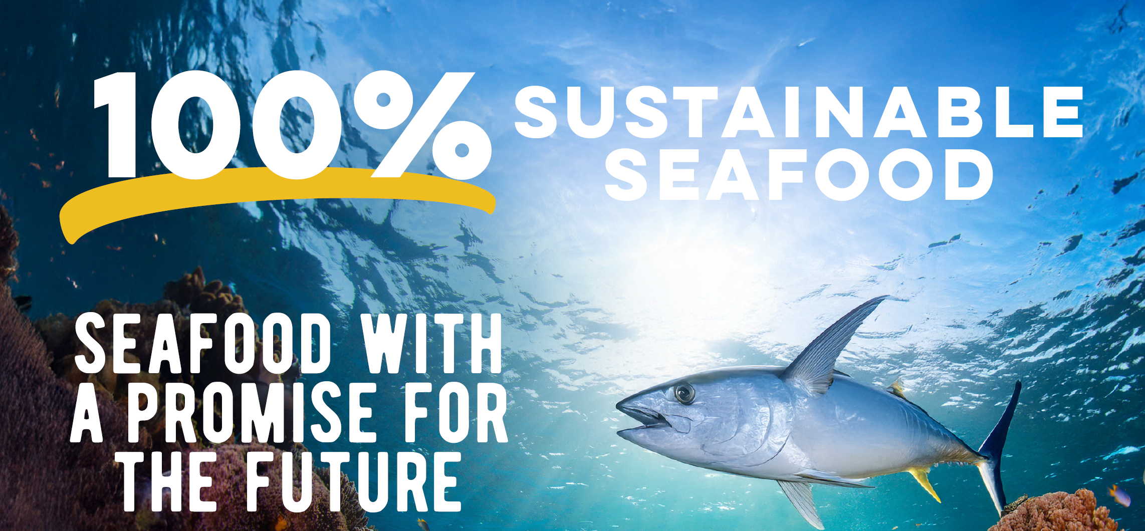 100% Sustainable Seafood — Seafood with a promise for the future